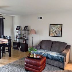 Montage Paint Store - Ipainted walls