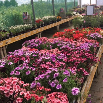 Fordham Nursery - Nurseries & Gardening Near Me - Fordham, CAM