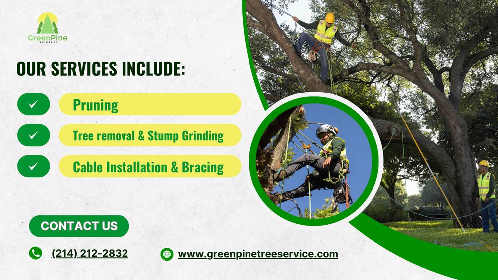Green Pine Tree Service - tree service in Dallas, TX