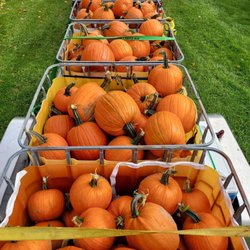 Ruwet Berry Scary Acres