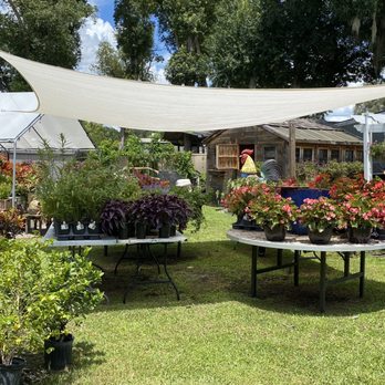 Lutz Whistle Stop Depot - Cozy little garden - Antiques Near Me - Lutz, Florida Lutz Whistle Stop Depot - Cozy little garden - Antiques Near Me - Lutz, Florida
