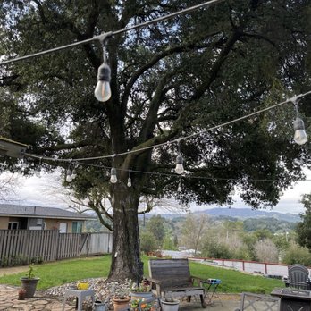 Sam's Tree Service - Before Sam's tree service - Tree Services Near Me - Creston, California Sam's Tree Service - Before Sam's tree service - Tree Services Near Me - Creston, California