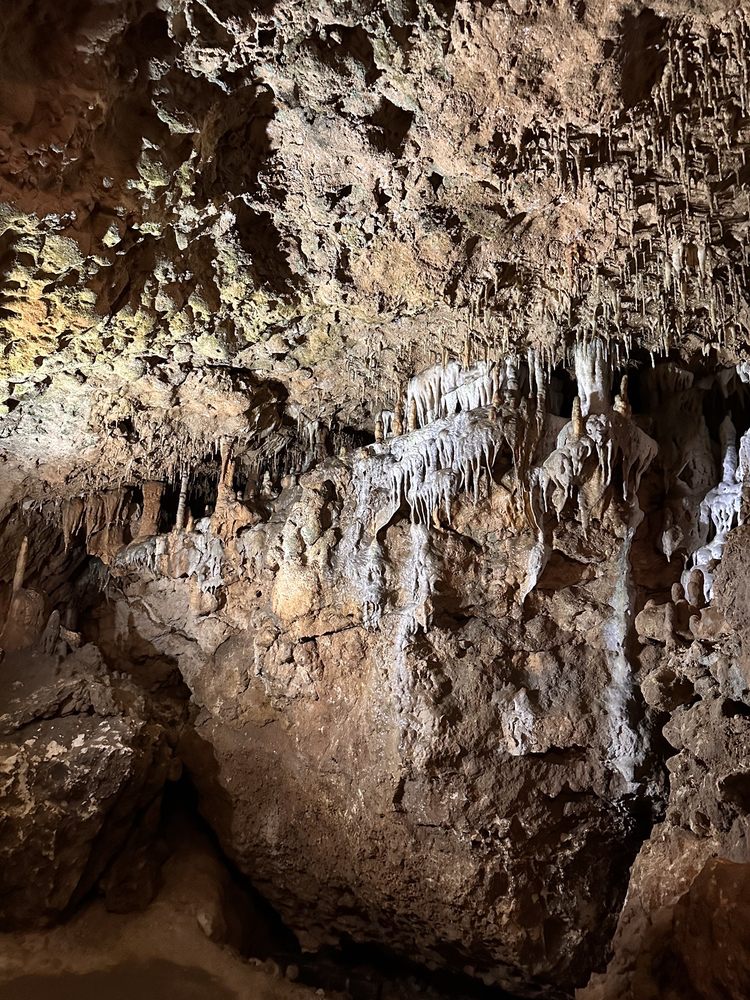 Florida Caverns State Park Logo