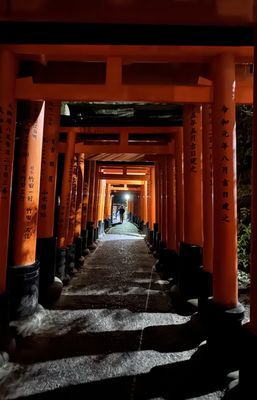 Senbon Torii (Thousand Torii Gates) by null