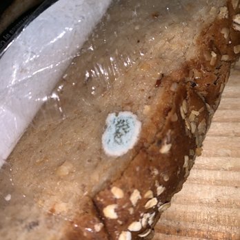 Circle K - Trash and a side of mold - Convenience Stores Near Me - Las Vegas, Nevada