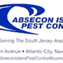 Photo of Absecon Island Pest Control