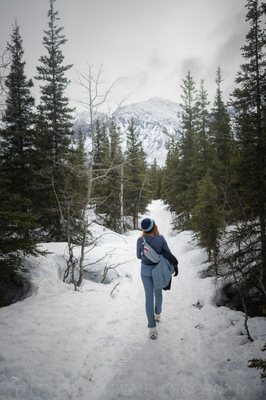 Eagle River Nature Center by null