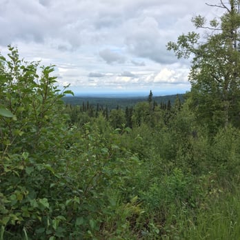 Alaska Off Road Adventures - ATV Rentals/Tours Near Me