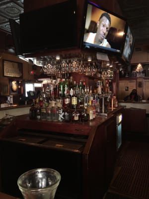 Darwin's Piano Bar by null