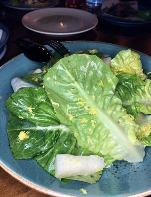 Cha Cha Chá by null