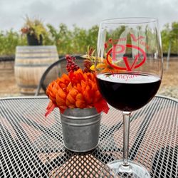 Pauma Vista Vineyard - Rain or shine, we drink wine :)