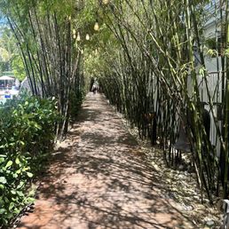 Walkway Walkway