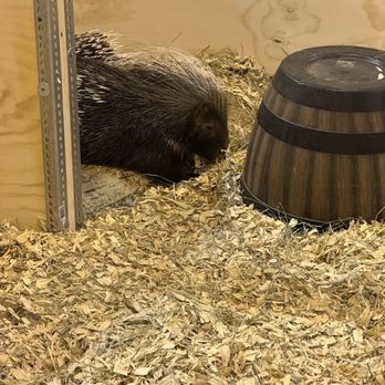 California State Fair - Festivals Near Me - Sacramento, California