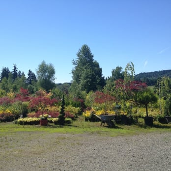 D & J Retail Nurseries - Nurseries & Gardening Near Me - Gresham, Oregon
