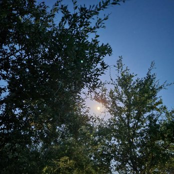 Pates RV Park - Full moon rose up through the trees next to our site - RV Parks Near Me - Whitney, Texas Pates RV Park - Full moon rose up through the trees next to our site - RV Parks Near Me - Whitney, Texas
