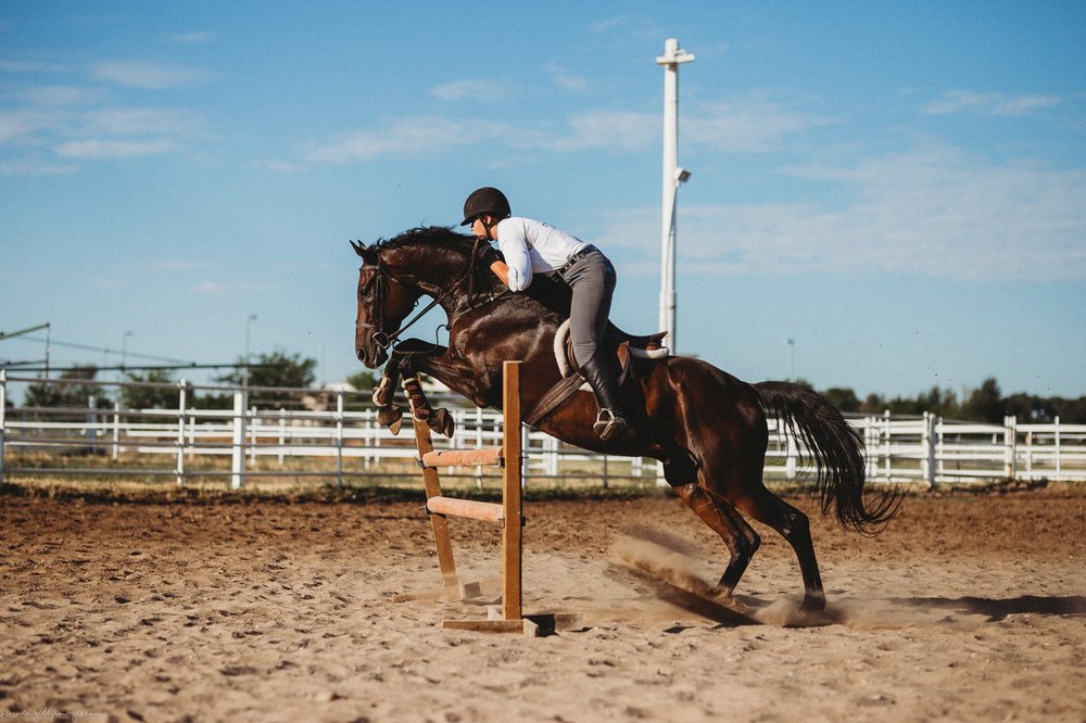 A.R. Willden Show Stables - equestrian in West Haven, UT