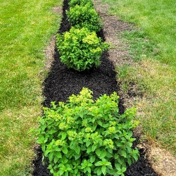 Turfology LLC - Lawn Services Near Me - York, Pennsylvania Turfology LLC - Lawn Services Near Me - York, Pennsylvania