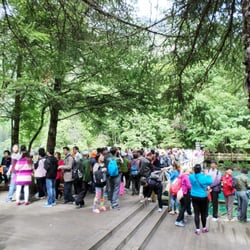 Twin Bridge Travel And Service - When we arrived, there was no one here. When we finish walking around and back to the entrance, here comes the crowd!