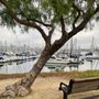 Photo of Safe Harbor Marina Village