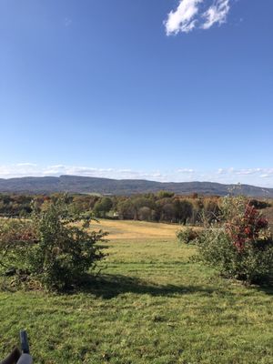 Apple Hill Farm by null