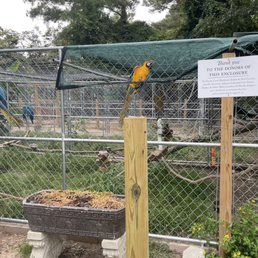 All of the animals there to see