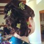 Photo of Halo Hair Studio