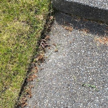 Amazing Landscape Services - Landscaping Near Me - Edgewood, Washington