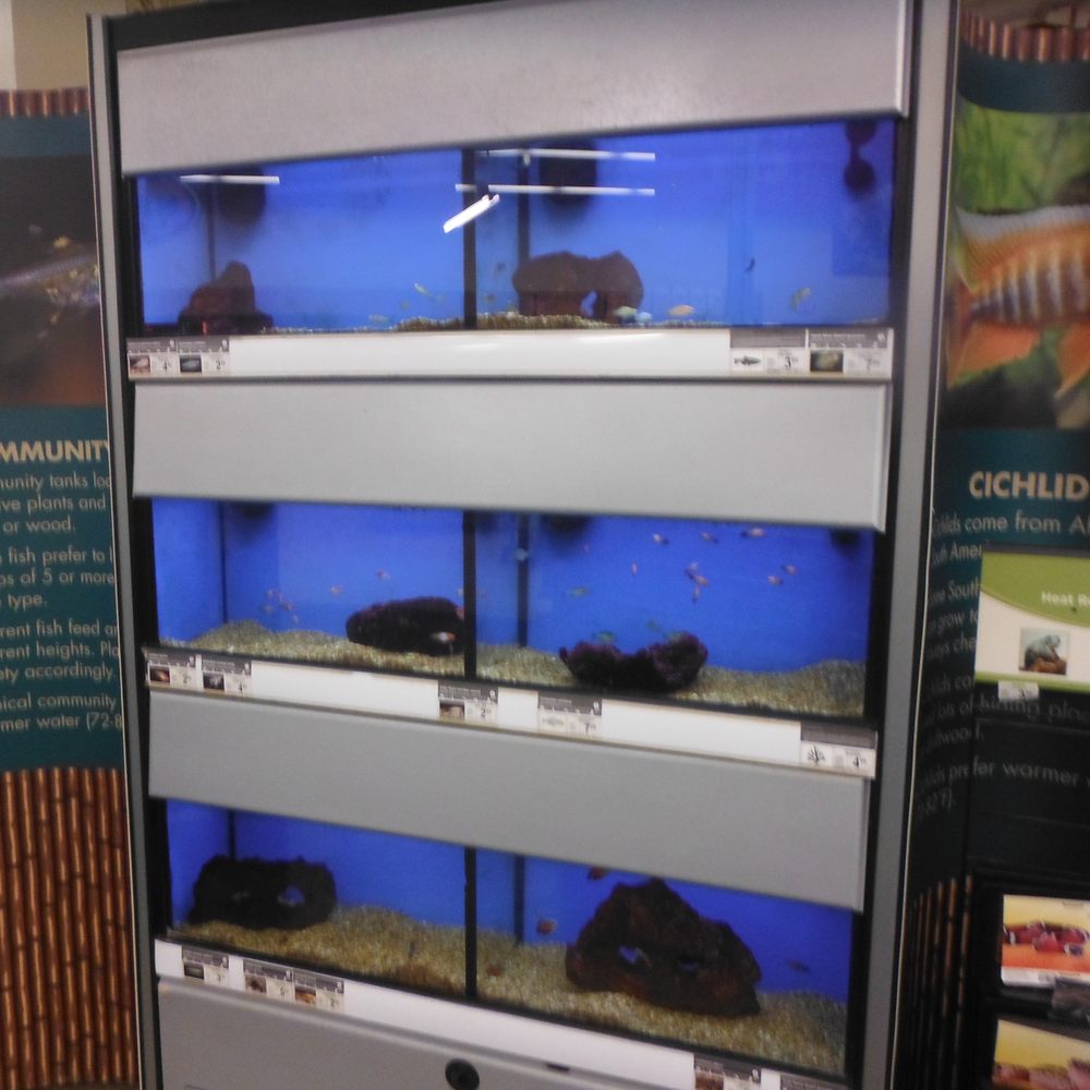 Petco - Petco - Pet Training Near Me - Charleston, South Carolina Petco - Petco - Pet Training Near Me - Charleston, South Carolina