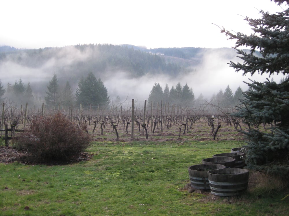 Freja Cellars Logo