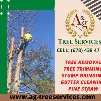 G&G Tree Services - Tree Services Near Me G&G Tree Services - Tree Services Near Me