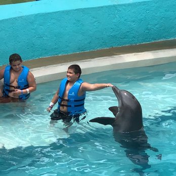 Dolphinaris - Arts & Entertainment Near Me - Cancún, ROO