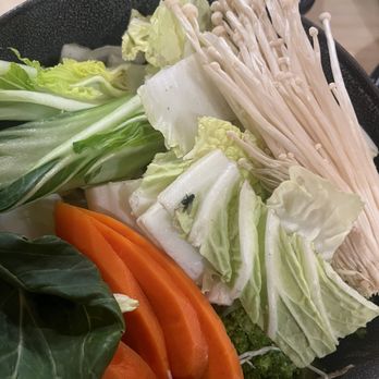 Kuchu Shabu - A dead fly in my veggies - Hot Pot Near Me - Salt Lake City, Utah Kuchu Shabu - A dead fly in my veggies - Hot Pot Near Me - Salt Lake City, Utah
