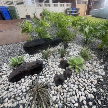 Tropical Landscapes Hawaii - Rock garden with landscaping rocks, river rocks, gravel, agave, aloe and philodendrons and fox tails in the back. - Landscaping Near Me Tropical Landscapes Hawaii - Rock garden with landscaping rocks, river rocks, gravel, agave, aloe and philodendrons and fox tails in the back. - Landscaping Near Me