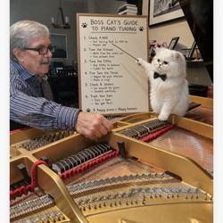 Terry Gilliam Piano Tuning