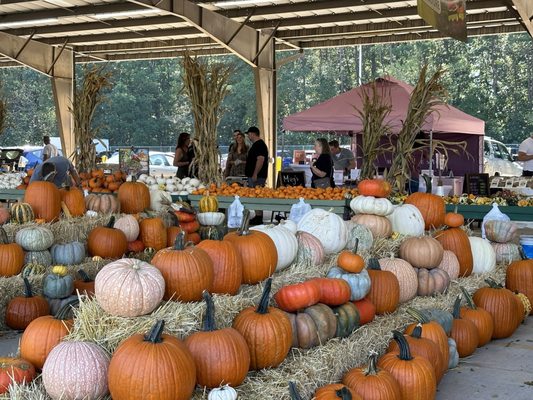 Charlotte Regional Farmers Market by null