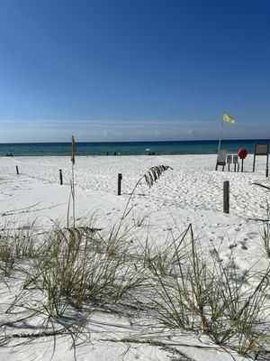 Henderson Beach State Park by null