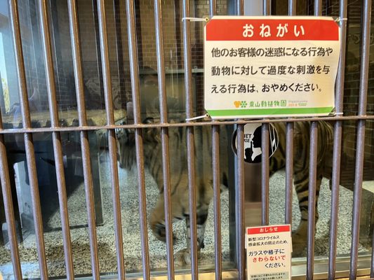 Higashiyama Zoo and Botanical Gardens by null