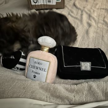 Posh Puppy Boutique - Pet Stores Near Me - Rocklin, California Posh Puppy Boutique - Pet Stores Near Me - Rocklin, California