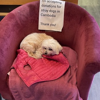 Annette's Nails & Alterations - Aww how cute! - Nail Salons Near Me - Sylvan Lake, Michigan Annette's Nails & Alterations - Aww how cute! - Nail Salons Near Me - Sylvan Lake, Michigan