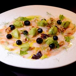 Meridionale - Shrimp Carpaccio marinated with lime, avocado cream, blueberries, and walnuts