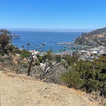 Catalina Island - Local Flavor Near Me Catalina Island - Local Flavor Near Me