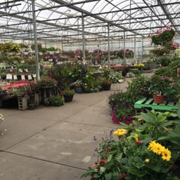 About a tenth of the outdoor selection here