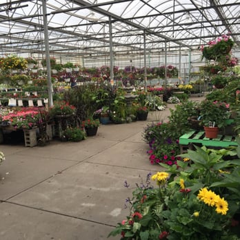 Flowerland - About a tenth of the outdoor selection here - Nurseries & Gardening Near Me - Kentwood, Michigan