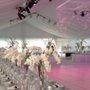 Photo of Nassau Tent