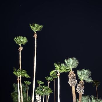 Terra - Hotels Near Me - Palm Springs, California