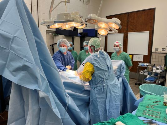 Humphrey Giacopuzzi & Associates Equine Hospital