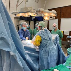 Humphrey Giacopuzzi & Associates Equine Hospital