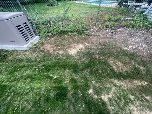 Tower Generator by null