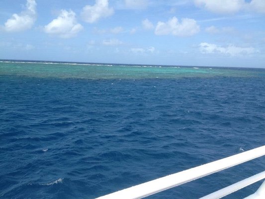 Great Barrier Reef by null
