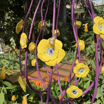 Butterfly Wonderland - Botanical Gardens Near Me - Scottsdale, Arizona